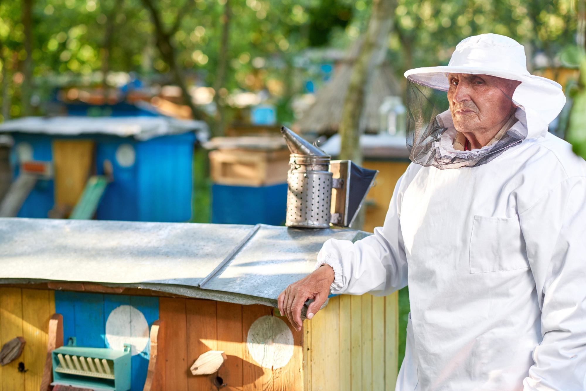 Heating Honey – Everything You Need to Know - Coyote Run Farm, LLC
